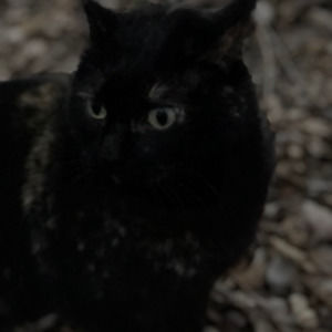 Meet your Posher, Moss